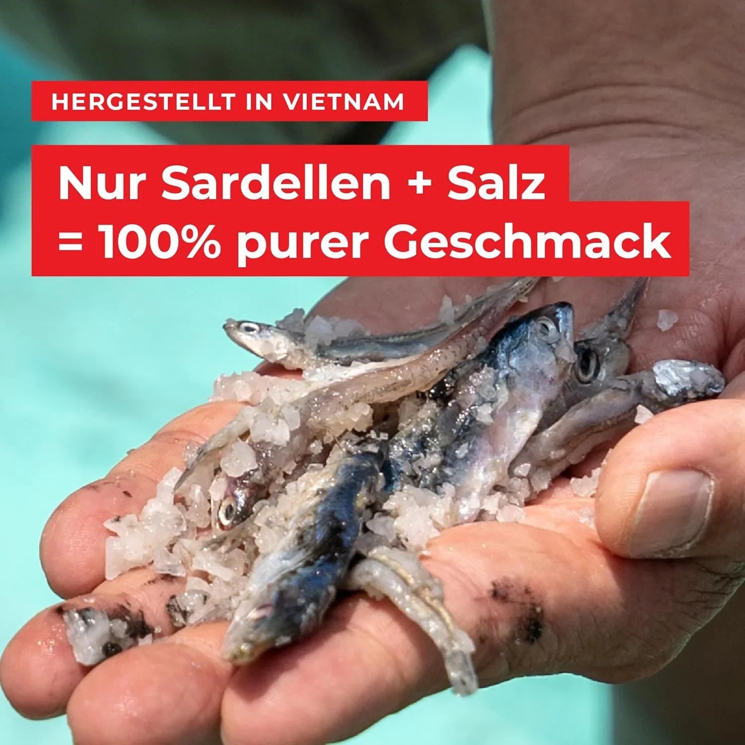 Hand hält Sardellen mit grobem Salz, Text betont reinen Geschmack und vietnamesische Herkunft